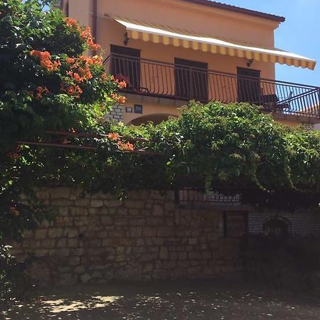 Apartments Renata Primosten Exterior photo
